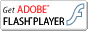 FlashPlayer̃_E[h