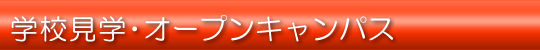 wZwEI[vLpX
